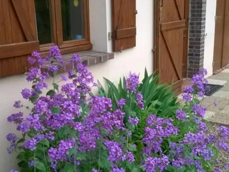 Gîte 6 pers. avec terrain de jeux et barbecue à Racines : photo 18