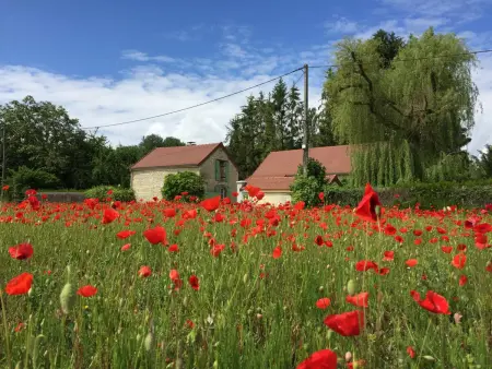 Gîte Champagne 2 pers. : suite parentale + terrasse spacieuse : photo 16