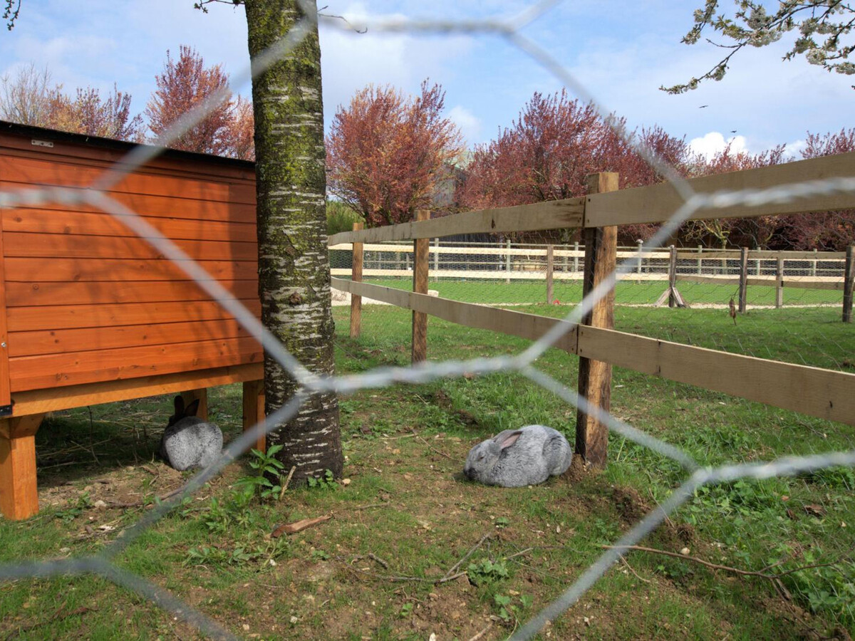 Gîte bois 8 pers. avec centre équestre et ferme pédagogique - Photo 23