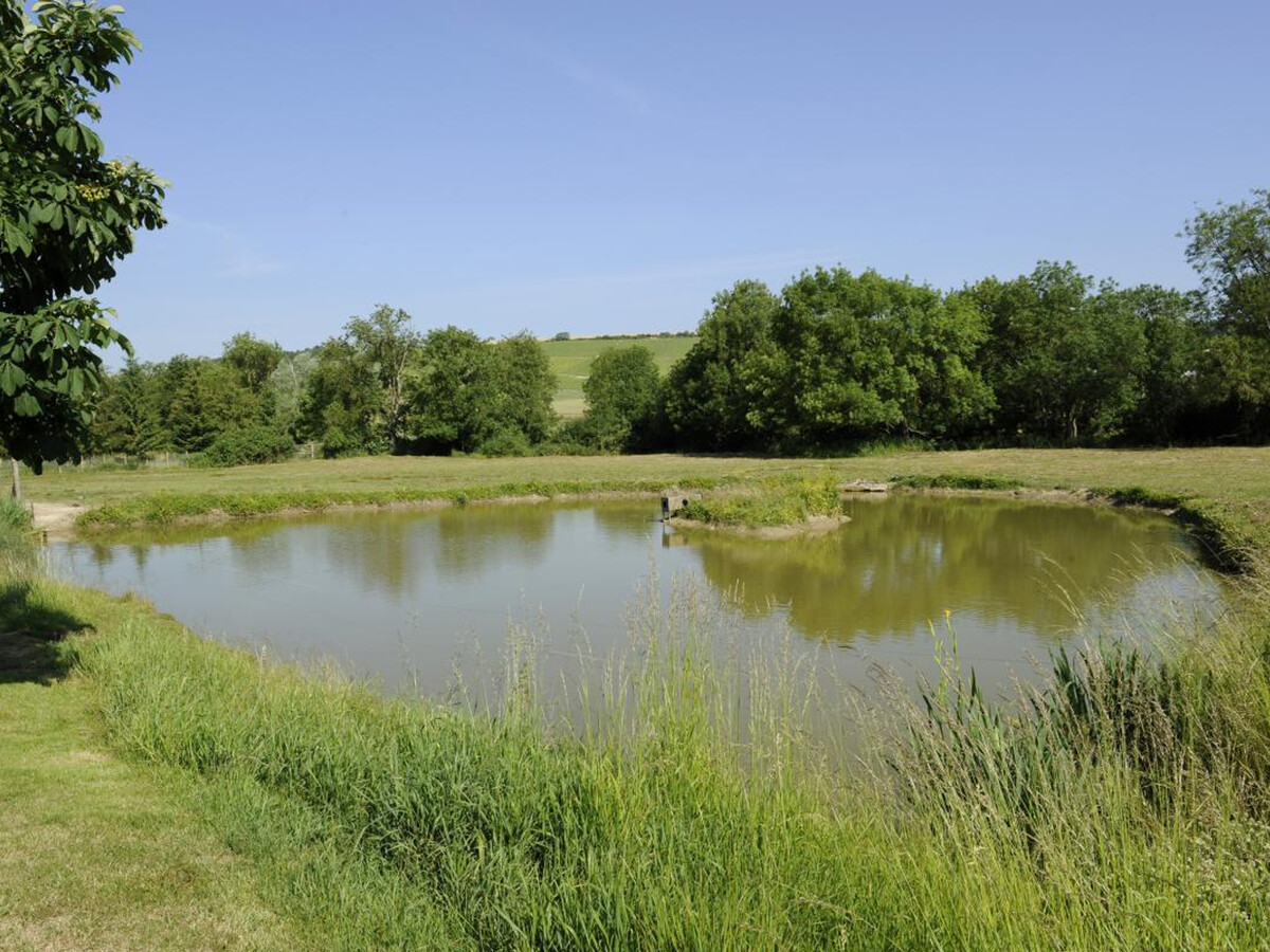 Gîte plain pied au cœur du vignoble, 4 pers., animaux acceptés - Photo 12