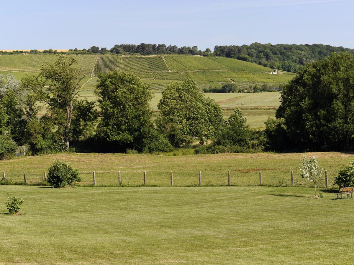 Gîte plain pied au cœur du vignoble, 4 pers., animaux acceptés - Photo 13