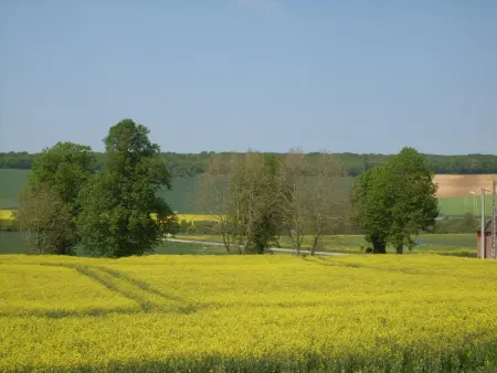 Gîte de charme proche Troyes avec jardin et jeux familiaux - Photo 21