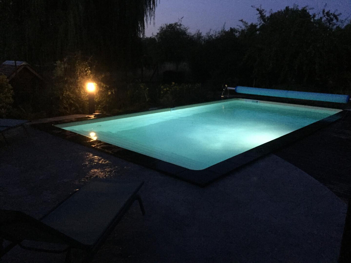 Maisonnette Champagne 4 pers., piscine et animaux - Photo 18