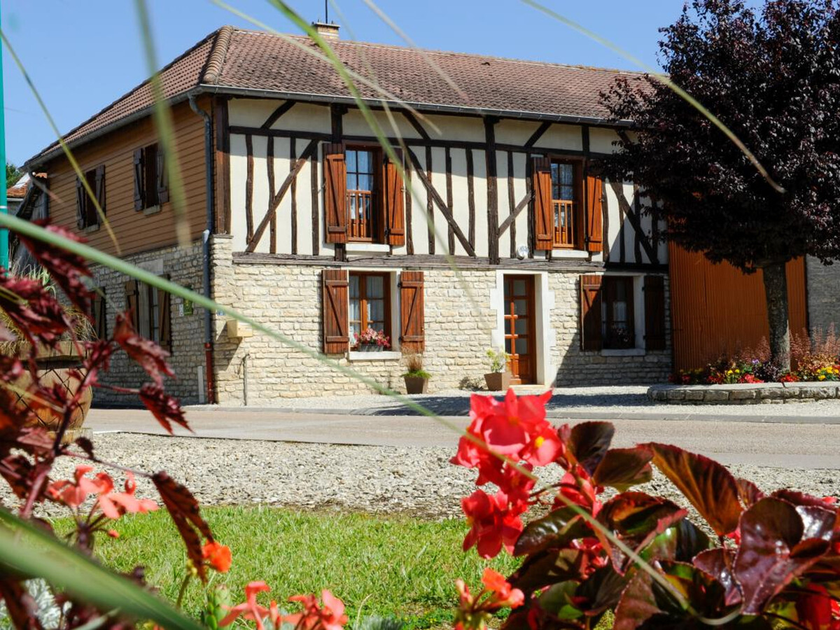 Gîte 10 pers. avec cheminée près des lacs de la Forêt d'Orient - Photo 1