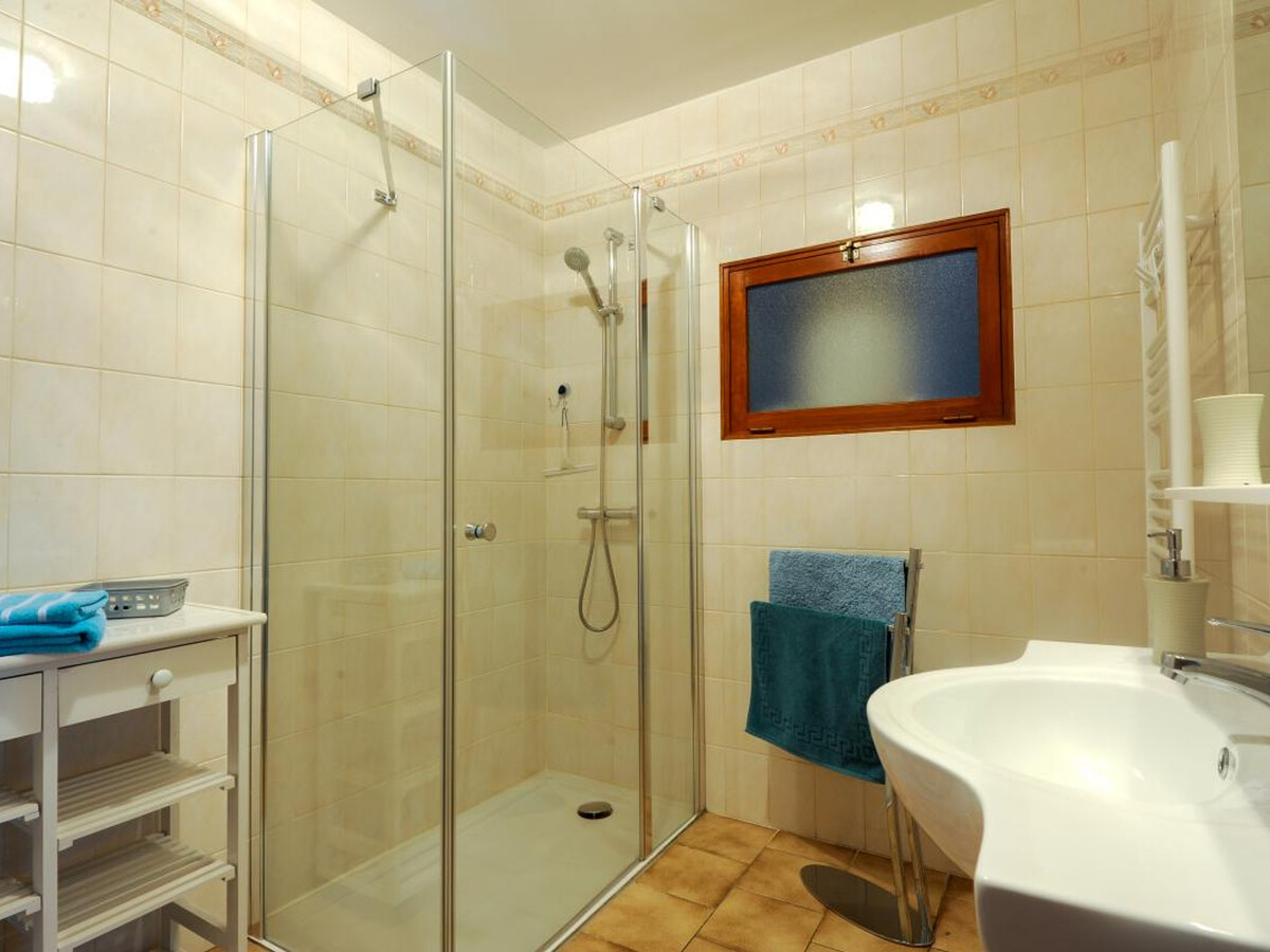 Gîte 10 pers. avec cheminée près des lacs de la Forêt d'Orient - Photo 8