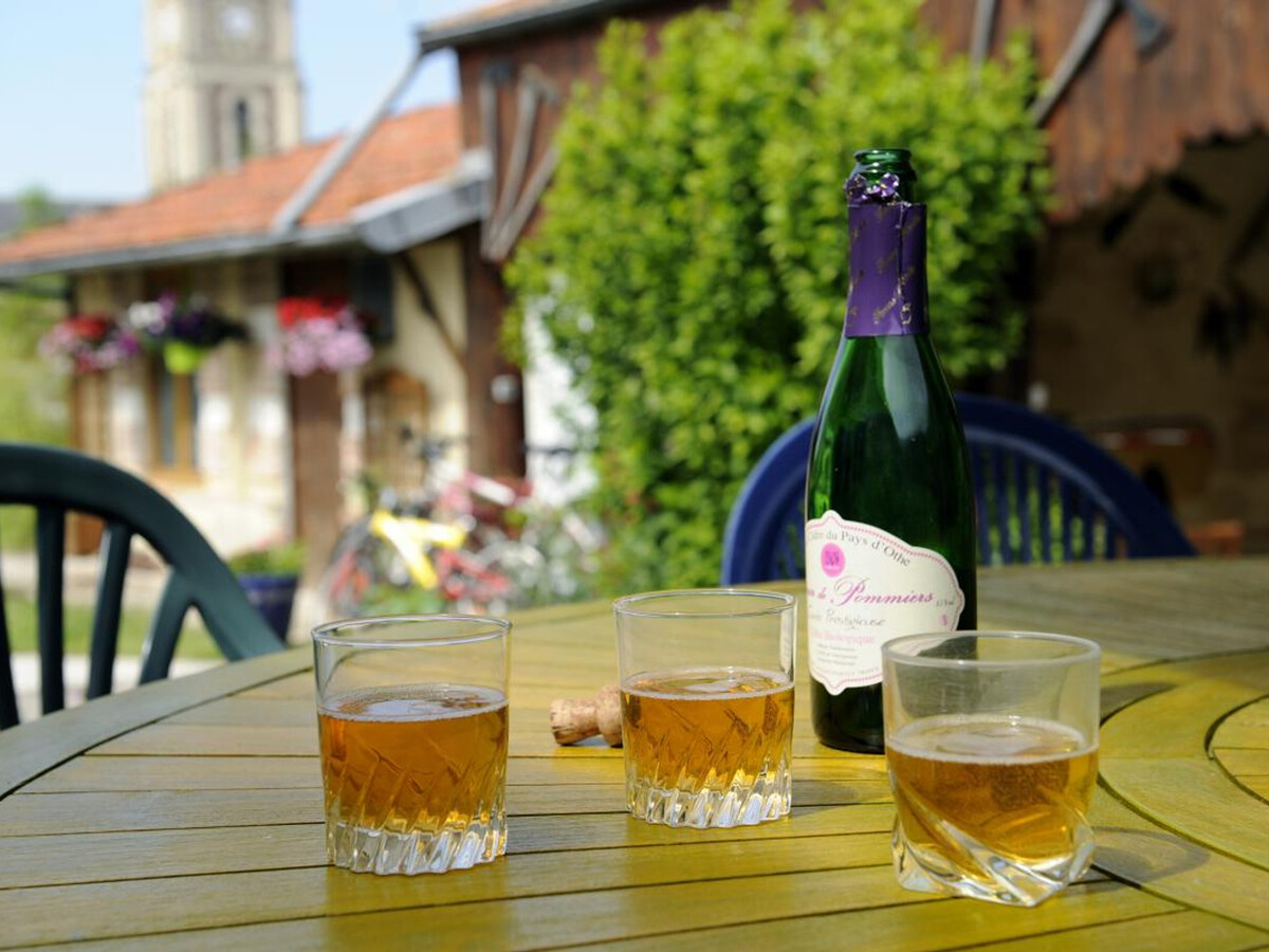 Gîte 8 personnes à Méry-sur-Seine avec parc de jeux - Photo 17