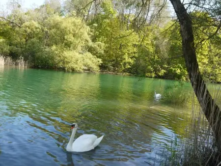 Gîte champenois avec jardin et cheminée, proche parc Forêt d'Orient - Photo 20