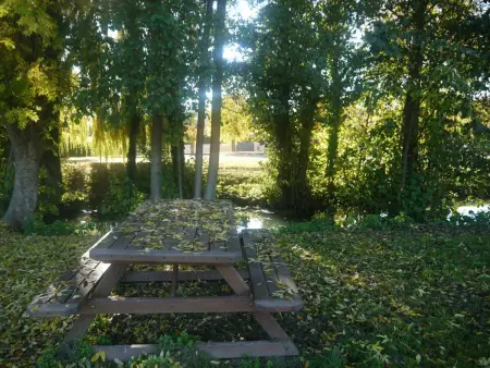 Gîte champenois avec jardin et cheminée, proche parc Forêt d'Orient - Photo 30