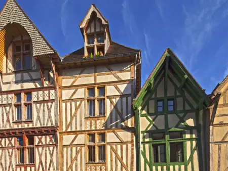 Gîte champenois avec jardin et cheminée, proche parc Forêt d'Orient - Photo 33