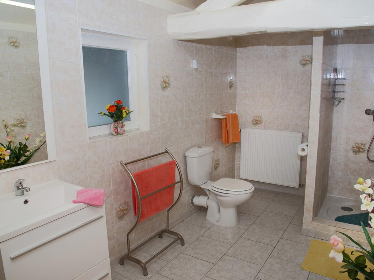 Gîte PMR 4 chambres à Morvilliers, près lac Dienville - Photo 17