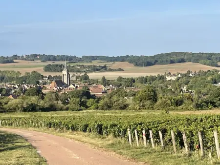 Gîte du Pommerat avec piscine chauffée à Villenauxe-la-Grande : photo 17