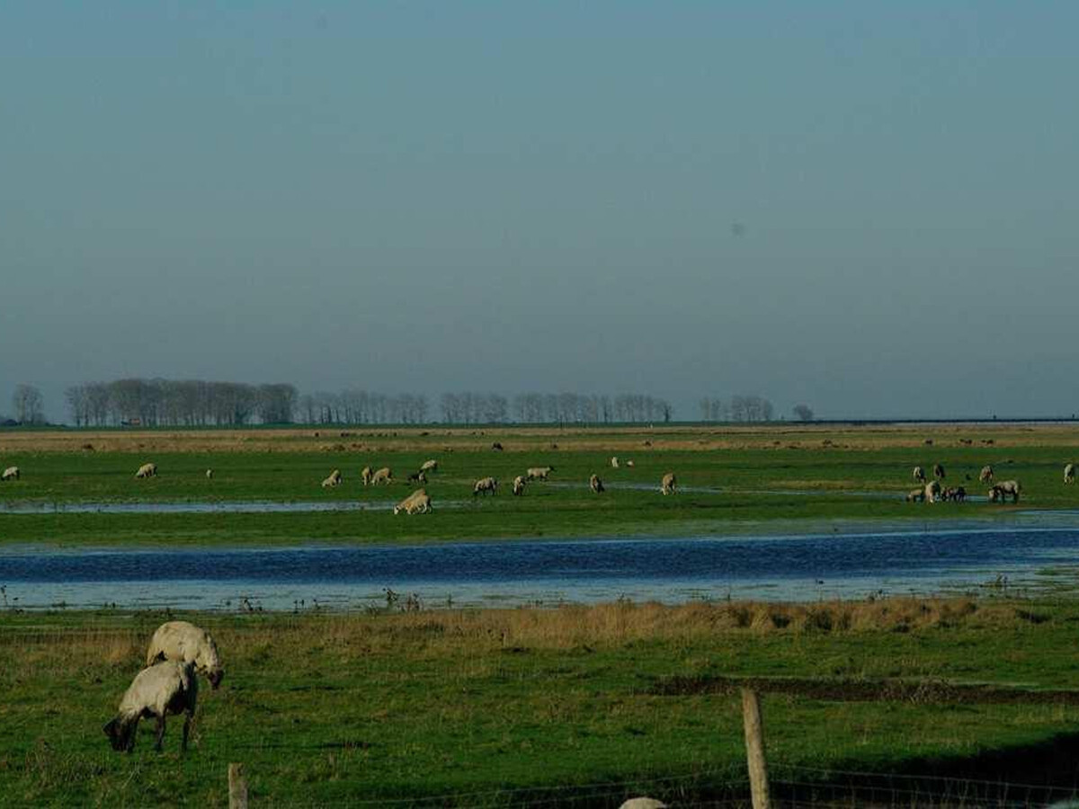 Maison 6 pers. avec jardin paysager près du Mont Saint-Michel - Photo 28