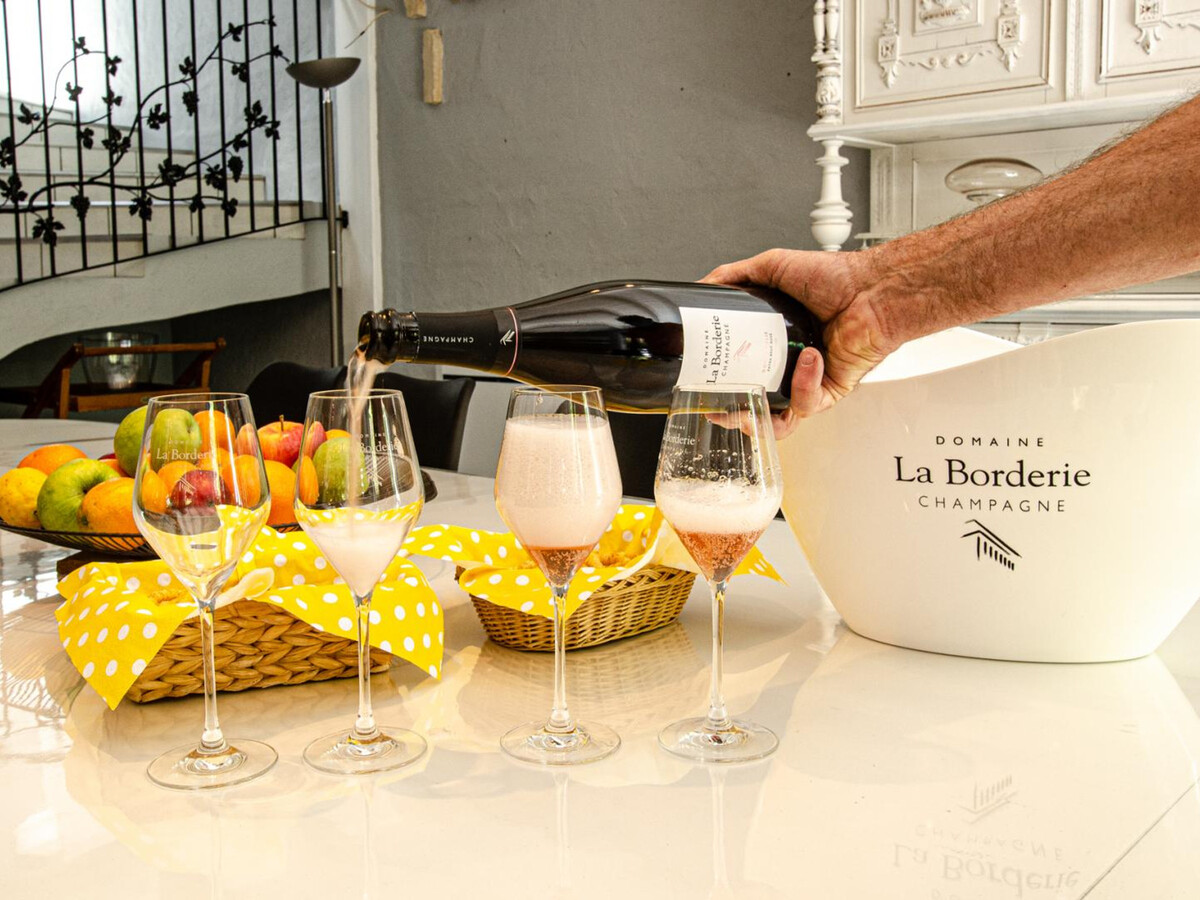 Gîte 14 pers. avec vignoble & champagne à Bar-sur-Seine - Photo 6