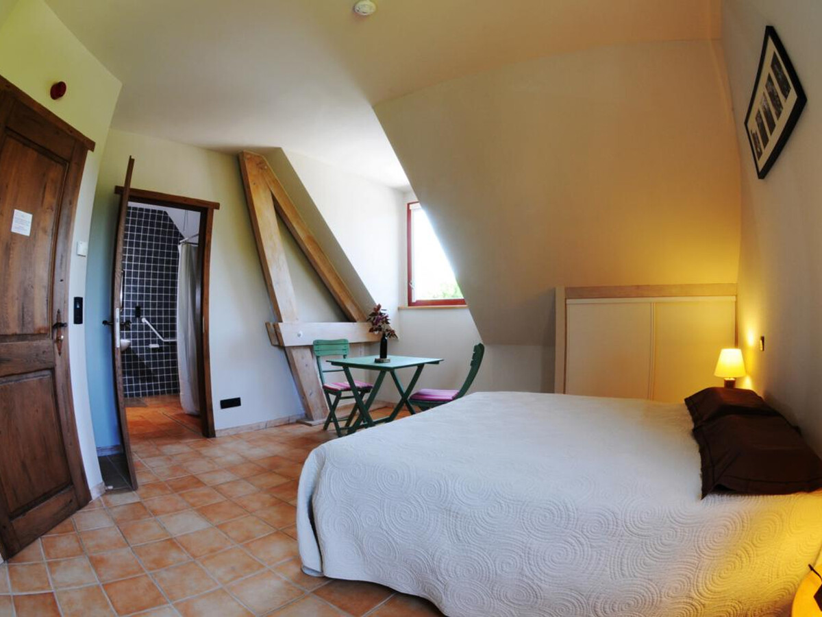 Gîte de groupe 26 pers en Champagne, animaux admis - Photo 10