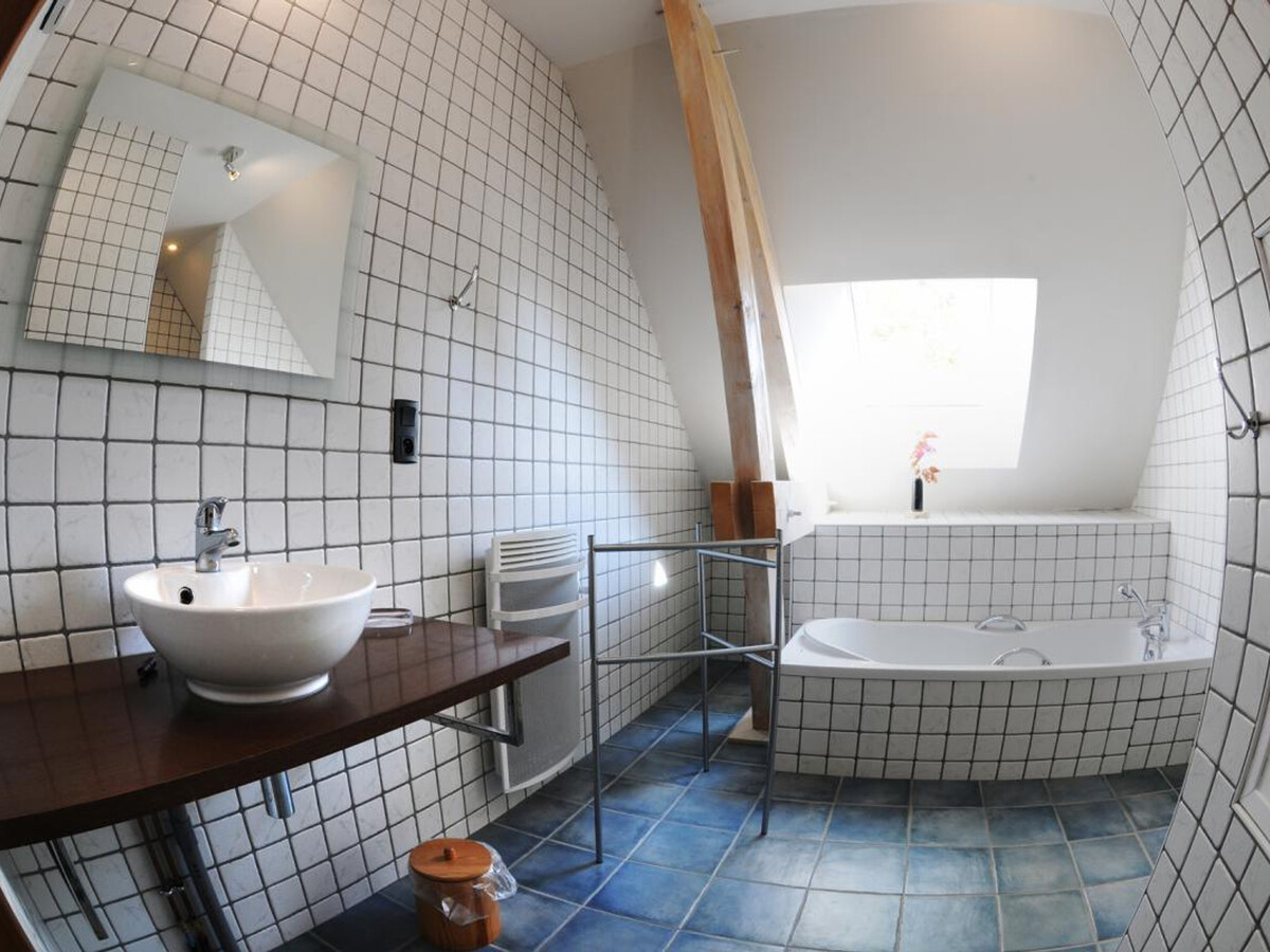 Gîte de groupe 26 pers en Champagne, animaux admis - Photo 12