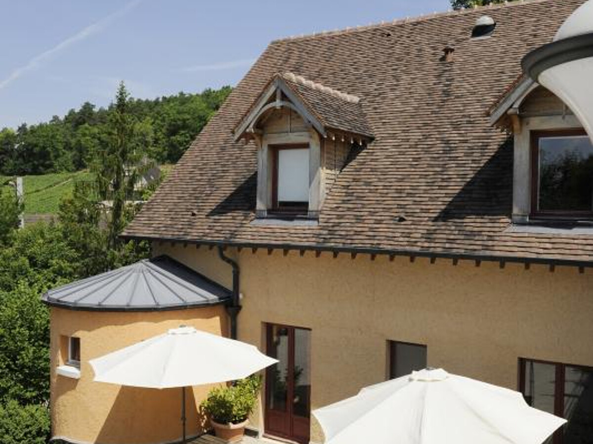 Gîte de groupe 26 pers en Champagne, animaux admis - Photo 21