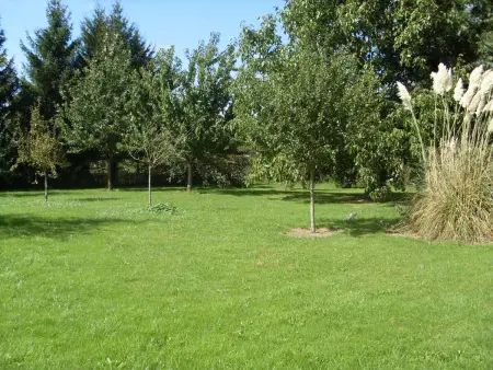 Gîte 4 pers. à Cussangy, champignonnière à 50 m : photo 16