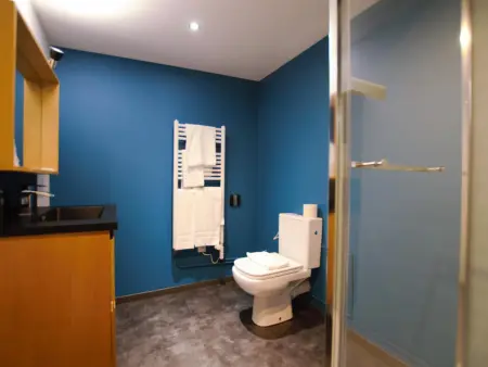 Gîte 9 pers. avec piscine chauffée à Villenauxe-la-Grande : photo 14
