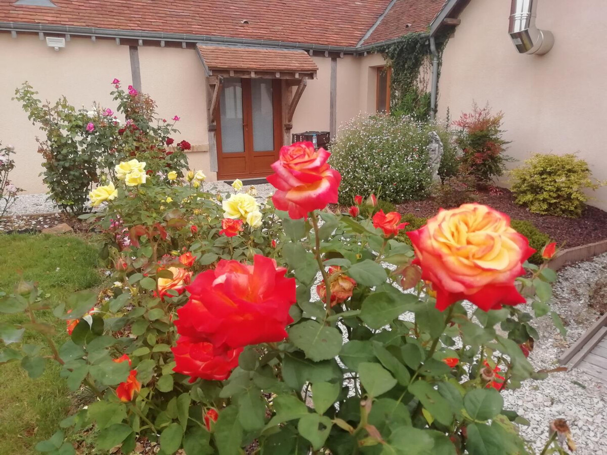 Gîte plain-pied 4 pers. avec jardin clos à Ormes - Photo 14