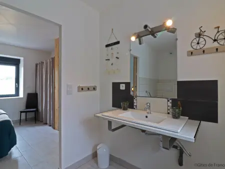 Gîte familial 14 pers. avec sauna et 1 ha de jardin : photo 14