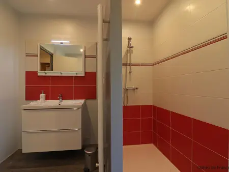 Longère Percheronne spacieuse avec jardin et spa en option - Photo 29