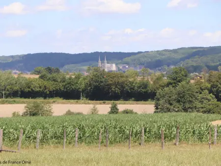 Longère Percheronne spacieuse avec jardin et spa en option - Photo 35
