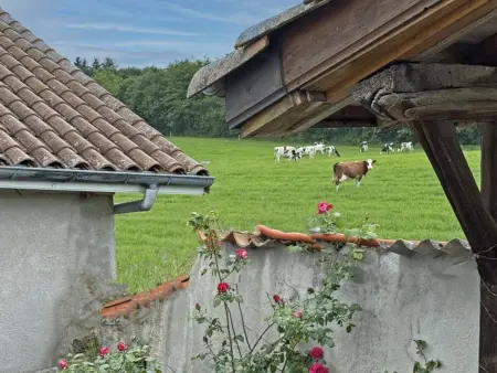 Gîte confortable à la ferme avec terrasse en campagne - Photo 18
