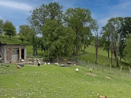 Gîte confortable à la ferme avec terrasse en campagne - Photo 20