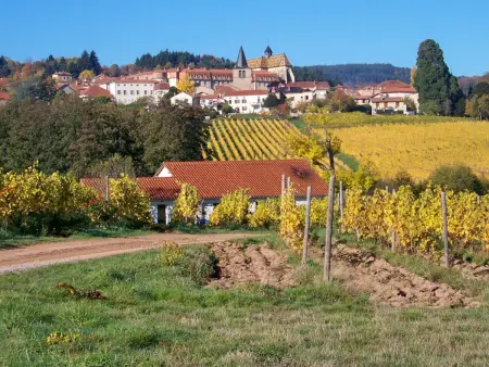 Gîte confortable à la ferme avec terrasse en campagne - Photo 24