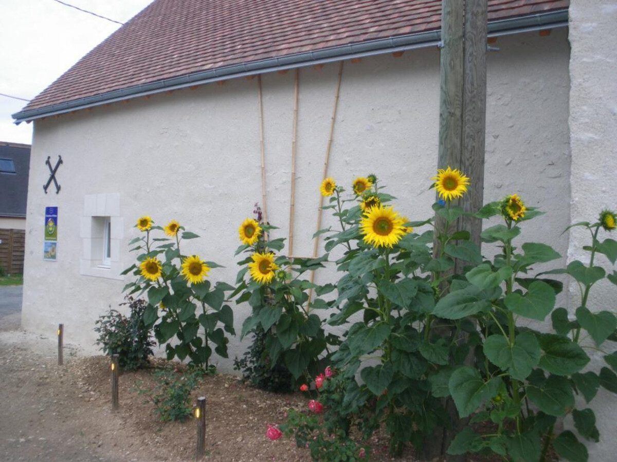 Gîte 3 pers. en Val de Loire, ferme céréalière, A85 à 8 min - Photo 35