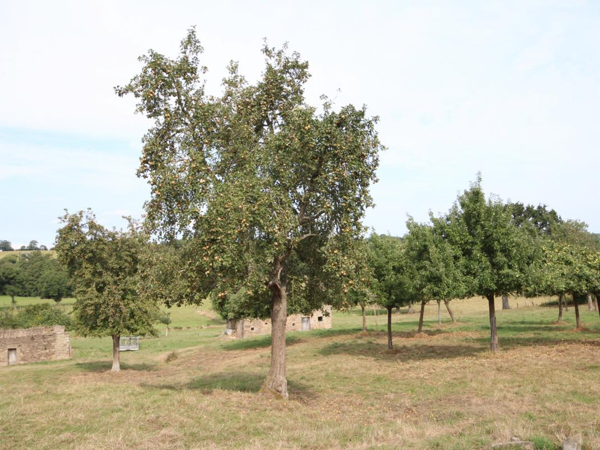 Gîte de charme 6 pers. avec jardin clos - Tinchebray - Photo 17