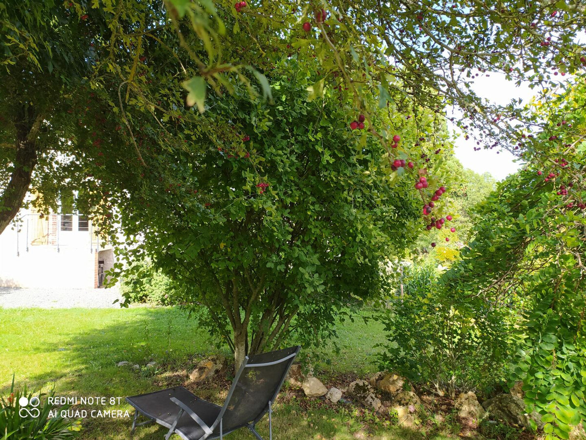 Gîte 6 pers. Touraine : jardin 900 m² clos, 3 ch - Photo 22