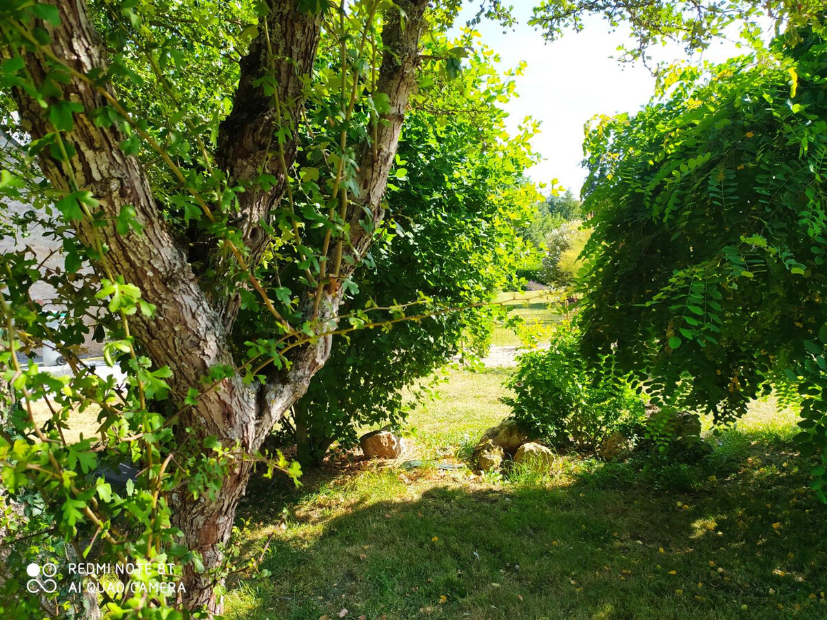 Gîte 6 pers. Touraine : jardin 900 m² clos, 3 ch - Photo 27