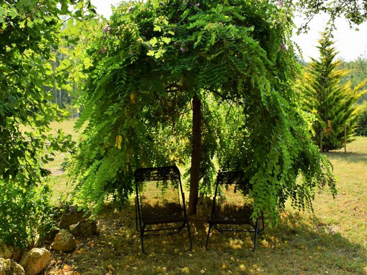 Gîte 6 pers. Touraine : jardin 900 m² clos, 3 ch - Photo 28