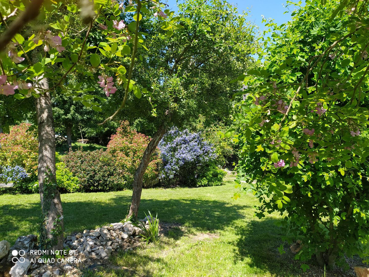 Gîte 6 pers. Touraine : jardin 900 m² clos, 3 ch - Photo 30