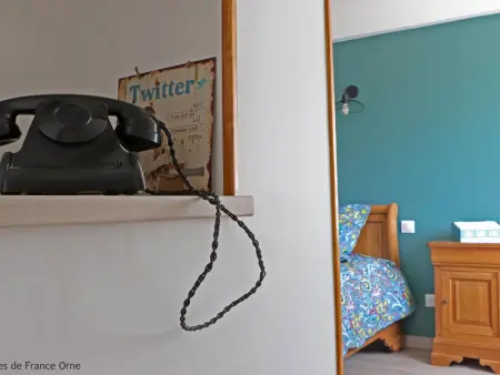 Gîte de plain-pied avec jardin et animaux à Rives-d'Andaine : photo 9