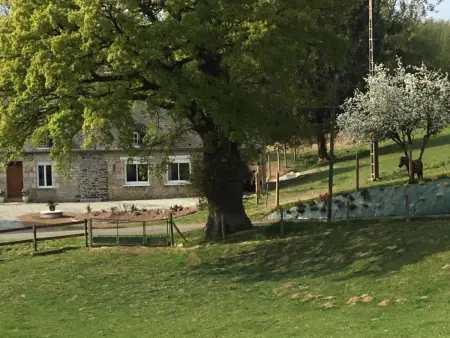 Gîte de plain-pied avec jardin et animaux à Rives-d'Andaine : photo 25