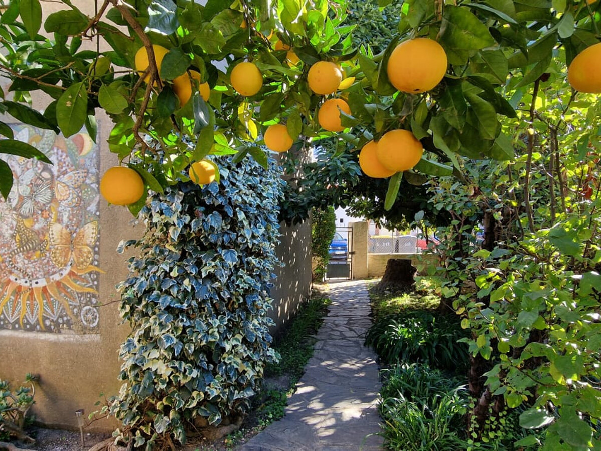 Maison 6 pers. Banyuls-sur-Mer, 5 min plage, jardin - Photo 2