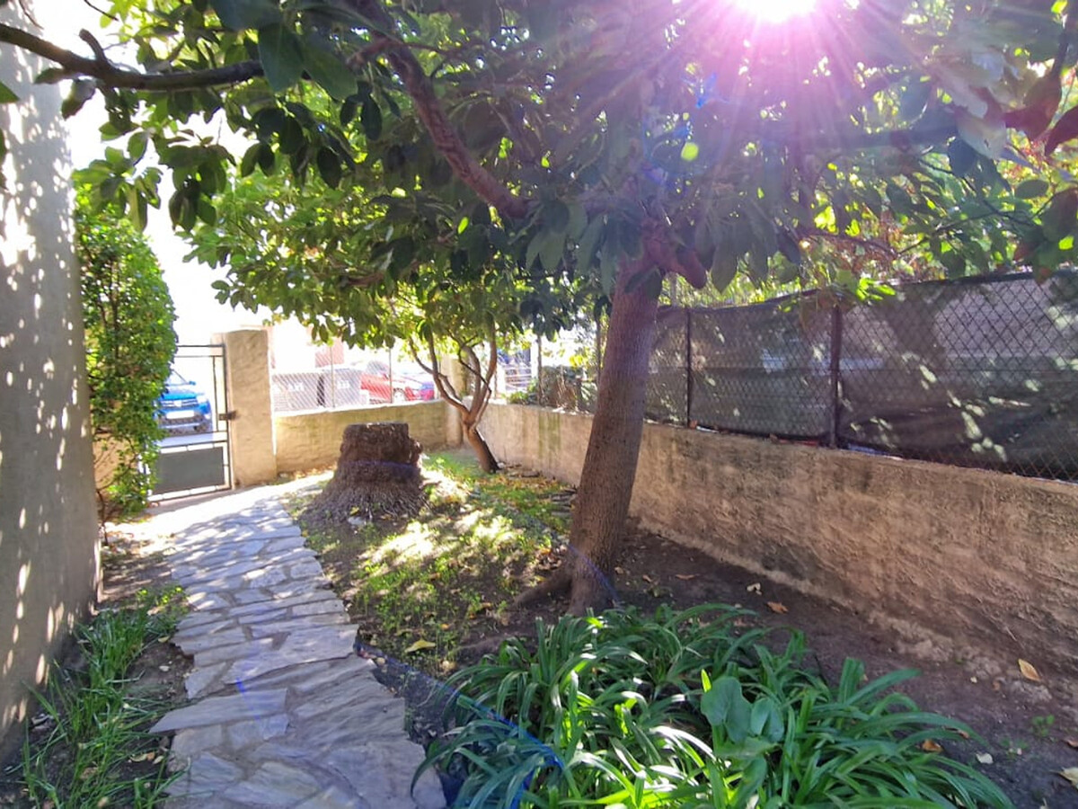 Maison 6 pers. Banyuls-sur-Mer, 5 min plage, jardin - Photo 5