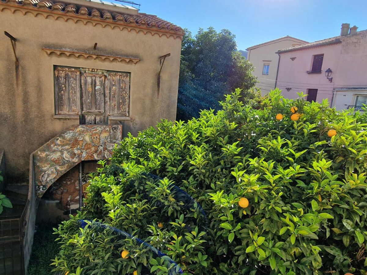 Maison 6 pers. Banyuls-sur-Mer, 5 min plage, jardin - Photo 6