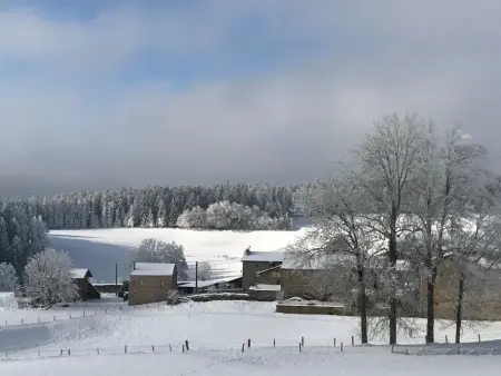 Gîte 3 chambres avec jardin privatif, nature et activités : photo 12