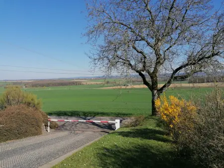 Chalet plain-pied aux portes des Vosges, recharge VE : photo 16