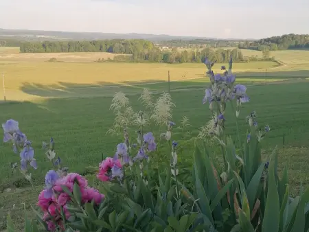 Chalet plain-pied aux portes des Vosges, recharge VE : photo 20