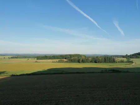 Chalet plain-pied aux portes des Vosges, recharge VE : photo 21
