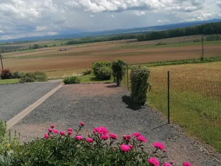 Chalet plain-pied aux portes des Vosges, recharge VE : photo 28