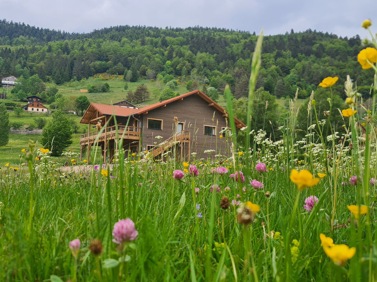 Gîte 4 étoiles 10 pers. La Bresse, terrasse sud & trottinettes gratuites - Photo 2