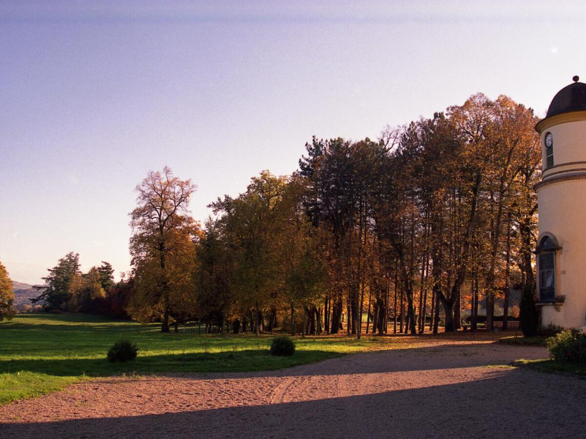 Gîte 8 pers. dans château avec parc 80ha et plan d'eau - Photo 20