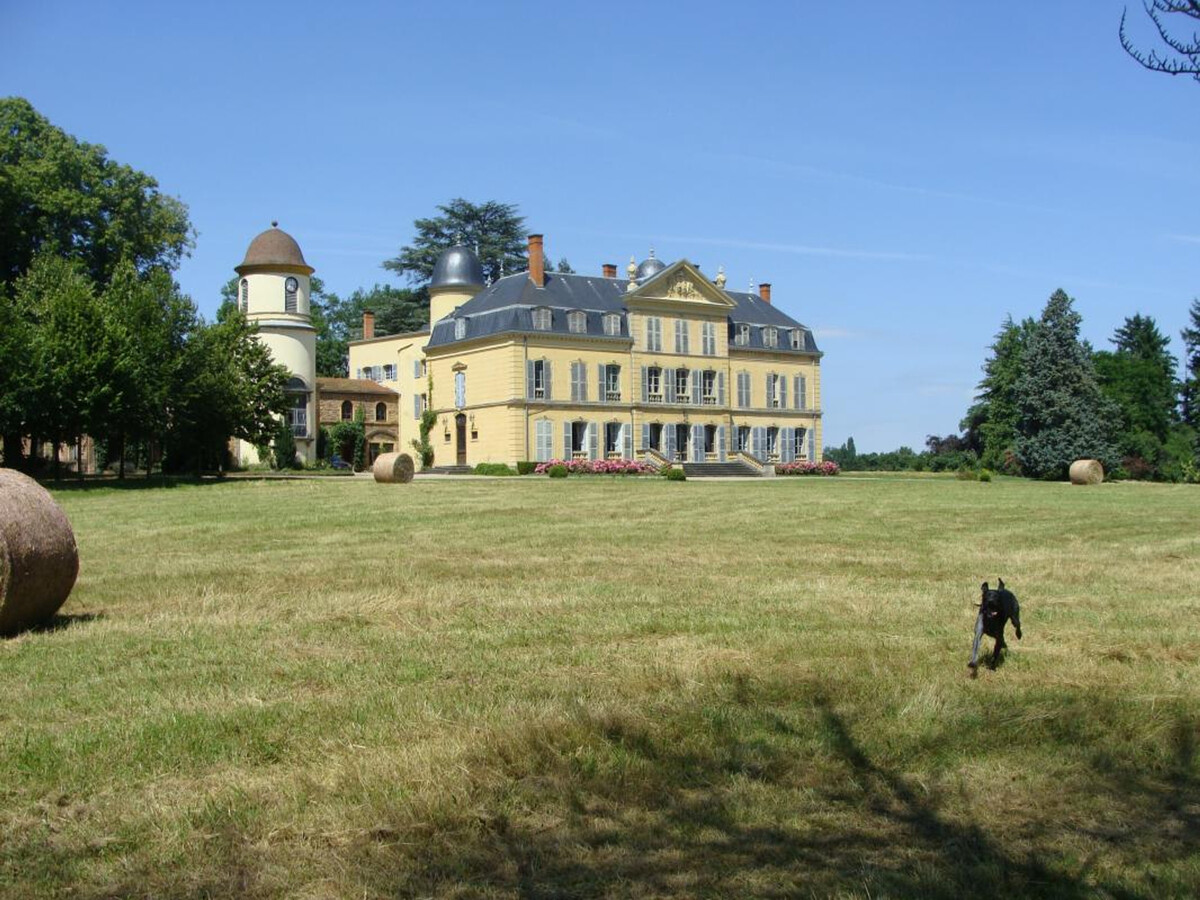 Gîte 8 pers. dans château avec parc 80ha et plan d'eau - Photo 21