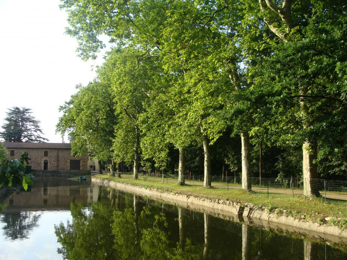 Gîte 8 pers. dans château avec parc 80ha et plan d'eau - Photo 22