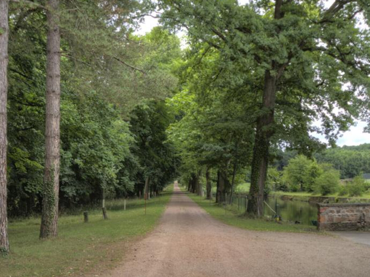 Gîte 8 pers. dans château avec parc 80ha et plan d'eau - Photo 23